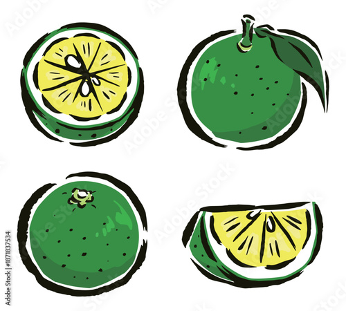 すだち　葉付き・くし切り・半分に切ったもの　筆タッチ手描きイラスト