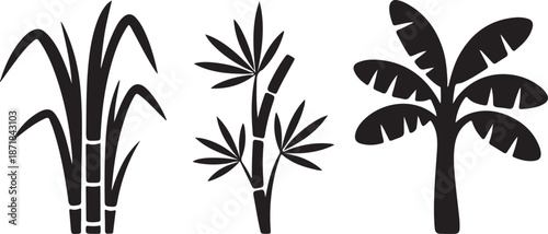 tropical plants sugarcane bamboo and banana leaves clean silhouette vector illustrations