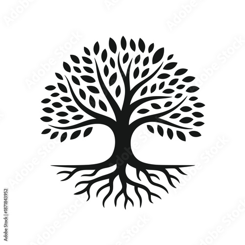 A simple black and white illustration of a tree with visible roots