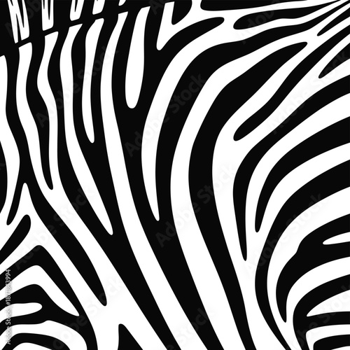 Close up of a zebra s striking black and white striped pattern