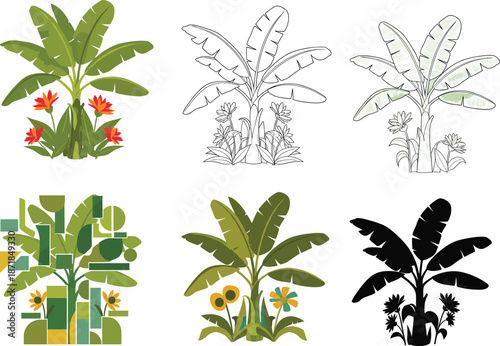 Banana plant illustration, tropical foliage art, stylized botanical graphics, green leaf design, flower variations, artistic renderings, abstract banana forms