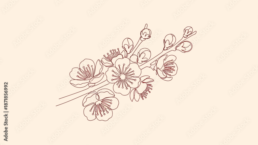 Obraz premium cherry blossom branch drawing