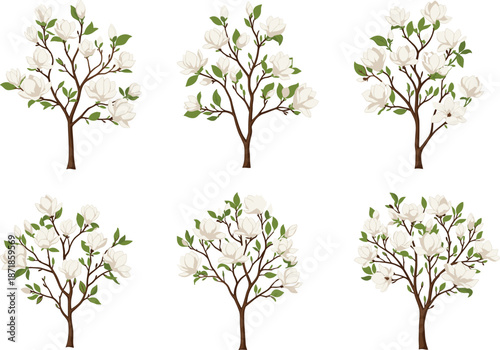 Magnolia tree illustration set, white blossom foliage, botanical sketch styles, seasonal bloom vector, nature design, six trees, floral art