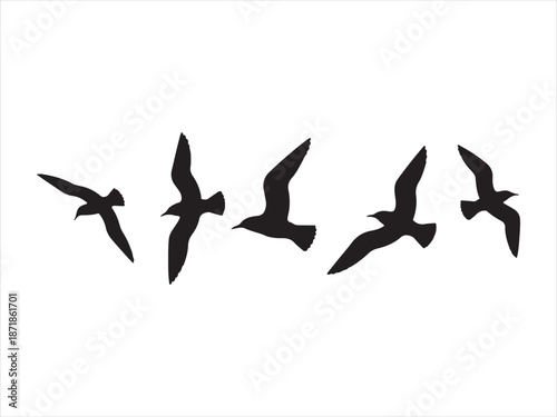 Group of flying birds silhouette, flock of birds flying, Flying Birds Group Vector Silhouette illustration
