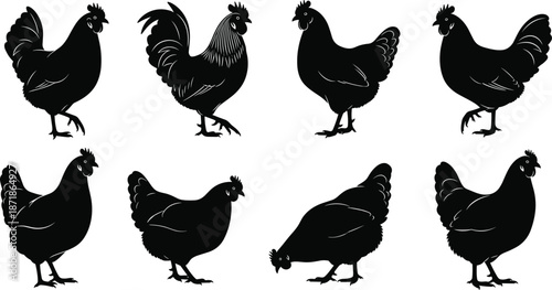 Chicken silhouette set, hen and rooster poses, farm poultry collection, standing walking pecking birds, isolated vector illustration