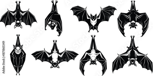 Bat silhouette set, flying bats illustration, black bat vector collection, spooky halloween animal design, isolated wildlife graphic