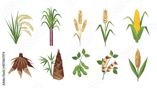 Assorted agricultural crops: rice, wheat, sugarcane, and legumes in detailed colorful style