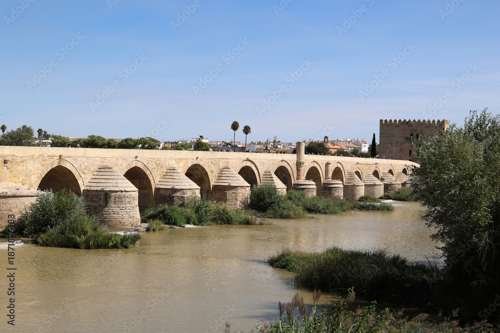 Fototapeta premium Roman Bridge with Calahorra Tower - in the Spanish city of Cordoba, Andalusia, Spain