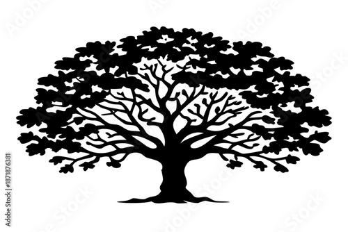 classic broad oak tree with rounded canopy silhouette illustration for nature and landscape design