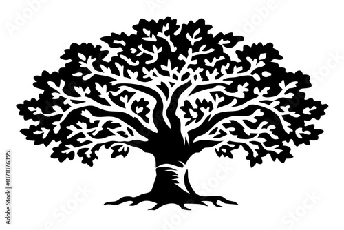 mighty oak tree with thick trunk silhouette illustration for nature and landscape design