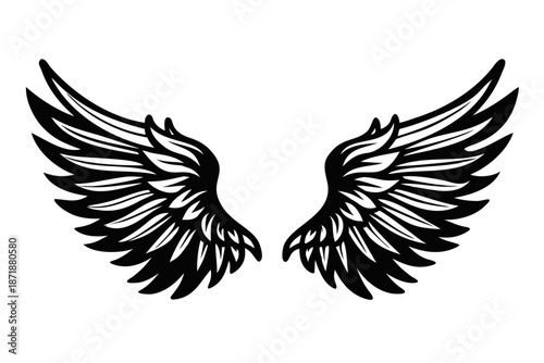 classic spread wings rising silhouette illustration for wildlife and nature design