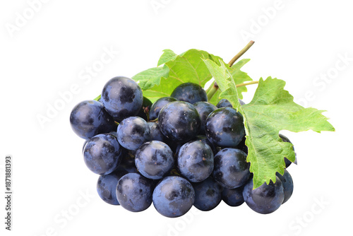 Bunch grapes on a white background