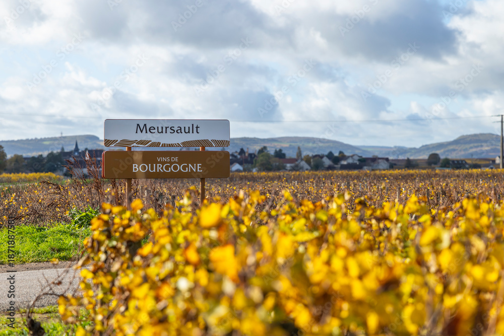 Fototapeta premium Meursault Vins de Bourgogne sign displaying vineyard autumn colors