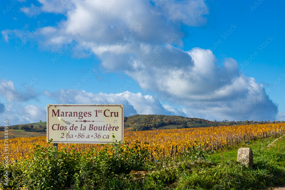 Fototapeta premium Maranges 1er Cru vineyard sign in autumn Bourgogne Franche Comte