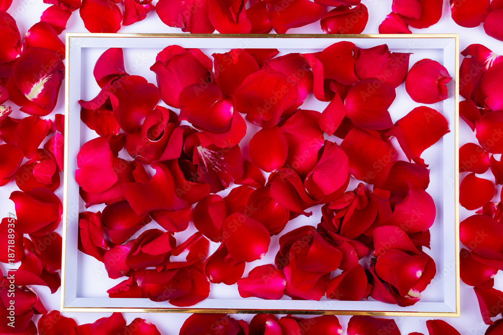 Fototapeta premium Overhead view of photo frame with scattered fresh re d rose flower petals