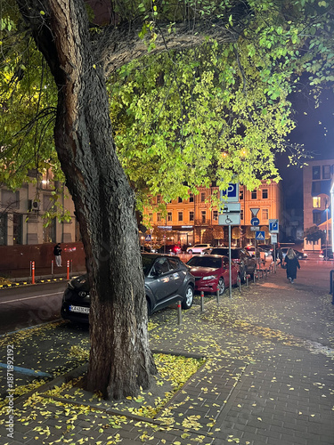 Leafy tree glows under streetlights on a quiet city sidewalk at night. Fallen yellow leaves blanket the pavement, blending urban life with a calm autumn mood