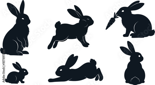 Farm rabbits. Cute bunnies on grass, eating carrot. Cute domestic country animals, rural countryside. Village country fauna. Flat graphic vector illustration
