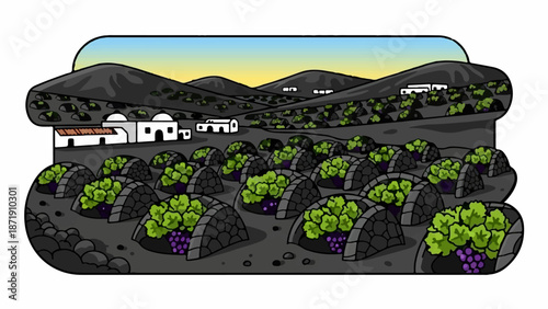 Volcanic landscape with unique vine cultivation and white houses under a warm sky