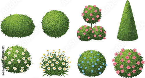 Decorative garden bushes and flowering shrubs vector illustration set, ornamental greenery isolated on white background for landscaping design projects elements