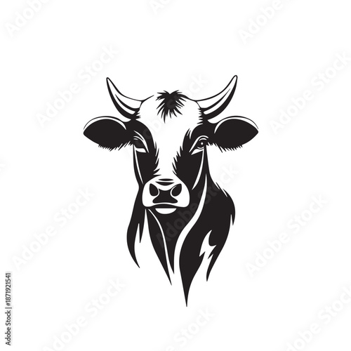 black and white cow