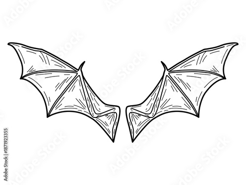 Vector of a bat wings flying gracefully in mid-air,Hand drawing of bat wings Halloween,Bat Wing Vector Illustration