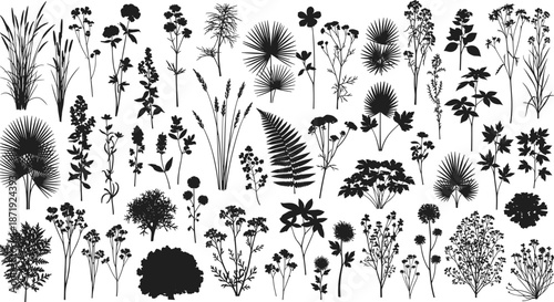 Black silhouettes of meadow flowers wild grass forest plants and garden herbs set for CAD drawing flat vector illustration design