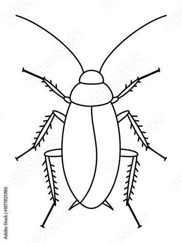 Hand drawing cockroach line vector illustration isolated on white background, Outline cockroach, Hand drawn vector art.
