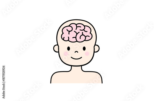 人間の脳のイラスト