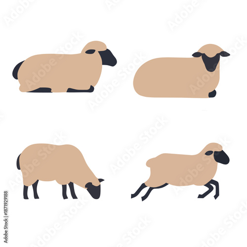 Sheep character vector set. Flat illustration of farm animals in different poses. Lamb silhouette collection including grazing, sitting, and running. Livestock isolated on white background