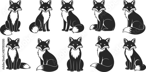 Set of black silhouette foxes sitting and looking forward on white background Keywords: fox, silhouette, animal, wildlife