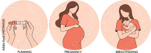 Motherhood stages illustration set showing family planning pregnancy and breastfeeding care vector design