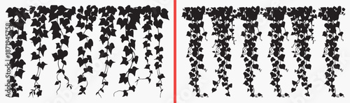 ivy vine illustration, climbing plant drawing, green ivy artwork, nature vine design, hand drawn climbing clipart, botanical ivy illustration, stock vine artwork

