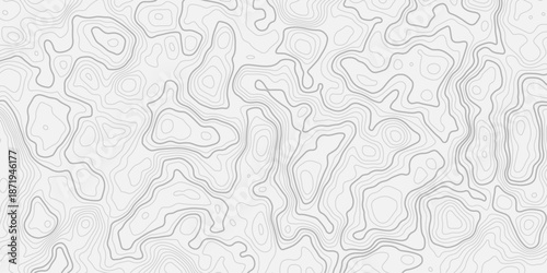 Abstract geographic mapping with contour lines and elevation curves.
White background topographic pattern for contemporary design.