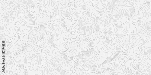 Topographic contour lines representing mountains, valleys, and earth elevation.
Clean white background with modern abstract mapping style.