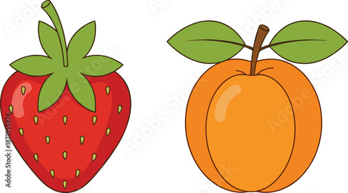 Strawberry and apricot fruit illustration with green leaves, colorful simple vector design of fresh summer fruits