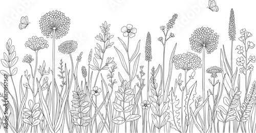 Wildflower Meadow Hand Drawn Line Art with Summer Flowers Grass and Butterflies for Coloring Book Page and Cad Drawing Flat Vector Illustration