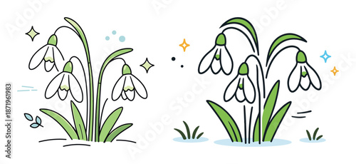Hand-drawn snowdrop flowers with leaves and decorative elements