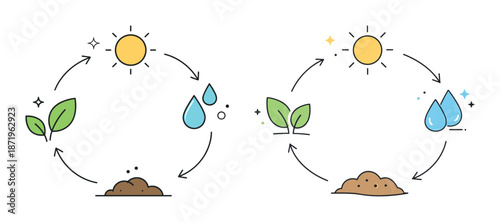 Simplified plant growth cycle: sun, water, soil, and leaves illustrated