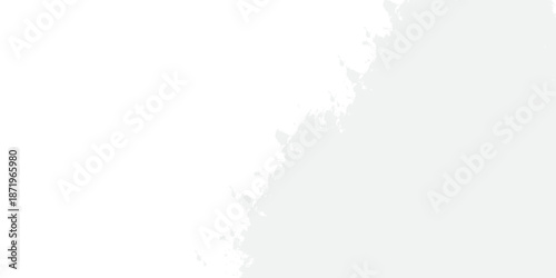 Abstract Decorative Background. Monochrome texture. grunge backgound. unique texture includes a white color effect.