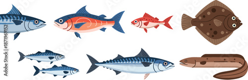 Collection of various saltwater and freshwater fish species including mackerel salmon flounder and eel in a flat vector illustration style.