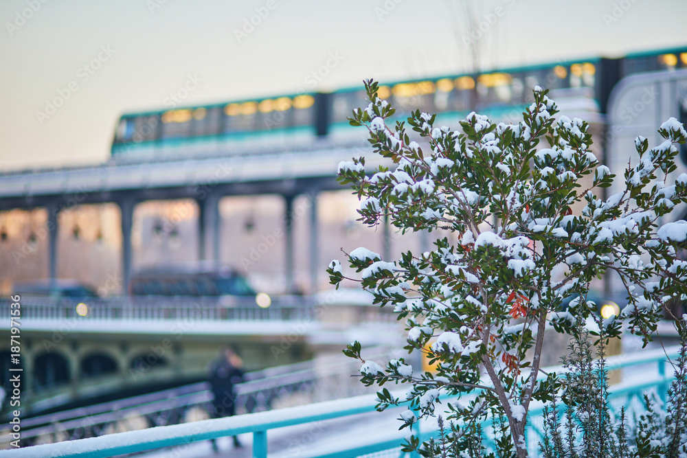 Obraz premium Snowy winter scene in Paris with a bush covered in fresh snow in the foreground and a metro train crossing the Bir-Hakeim bridge
