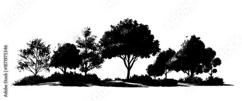 Vector set of sketch style of silhouettes of trees white background.