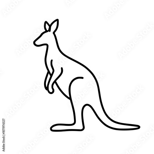 kangaroo vector illustration