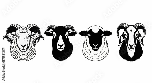Collection Of Four Diverse Black And White Minimalist Sheep And Ram Head Silhouettes Representing Different Breeds