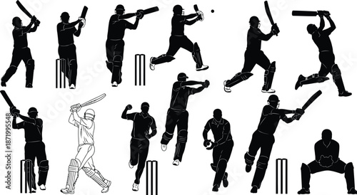 Cricket Player Silhouettes Collection: Batting, Bowling, Fielding, Wicket and Ball