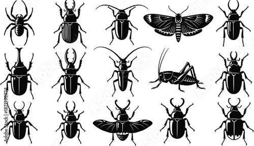 Insect silhouette vector set, black and white bug icons, entomology illustration, diverse species design, symmetrical insect shapes, educational biology artwork