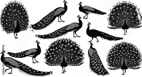 Peacock silhouette vector collection, elegant bird poses, tail feather display, black illustration set, ornamental wildlife design, graceful animal graphic icons