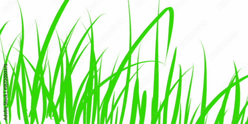 Fototapeta premium Green grass. The Bush grass. Vector illustration. Grass silhouette seamless pattern. Green grass meadow border vector pattern. Autumn summer plant field lawn.