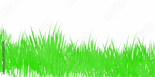 Green grass. The Bush grass. Vector illustration. Grass silhouette seamless pattern. Green grass meadow border vector pattern. Autumn summer plant field lawn.