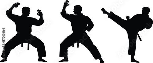 Martial arts silhouette, high kick pose, black vector, fighter stance, training sequence, sport graphic, discipline, strength, technique, motionMartial arts silhouette, high kick pose, black vector